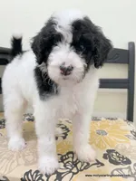 processed/42cd8d68-7c66-4002-a025-fd90b5d9a33c/listing/8d6dc90e-0d12-4b91-b5c8-c802095da703/9e79433c-ff18-408e-b524-7e67c5edb0ff