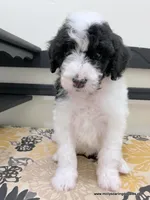 processed/42cd8d68-7c66-4002-a025-fd90b5d9a33c/listing/8d6dc90e-0d12-4b91-b5c8-c802095da703/c002ffb0-20d9-498c-be53-d39bd8d18551