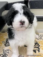 processed/42cd8d68-7c66-4002-a025-fd90b5d9a33c/listing/8d6dc90e-0d12-4b91-b5c8-c802095da703/d2099a54-2b71-47d6-be31-417215d4f560