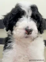 processed/42cd8d68-7c66-4002-a025-fd90b5d9a33c/listing/8d6dc90e-0d12-4b91-b5c8-c802095da703/f90427f4-d532-4810-80ef-15343a6417da