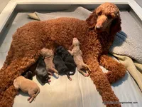 processed/42cd8d68-7c66-4002-a025-fd90b5d9a33c/listing/ca88ba76-f4b9-4ed4-83ae-c2fce3d9751e/09b0af42-9f2a-4339-a060-07b36bea4815