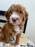 processed/42cd8d68-7c66-4002-a025-fd90b5d9a33c/listing/ca88ba76-f4b9-4ed4-83ae-c2fce3d9751e/11793350-2397-402d-90df-1fe28fc7dd19