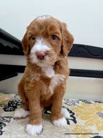 processed/42cd8d68-7c66-4002-a025-fd90b5d9a33c/listing/ca88ba76-f4b9-4ed4-83ae-c2fce3d9751e/3254cfb1-a36c-414d-adc8-ae81040ca837