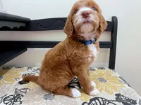 processed/42cd8d68-7c66-4002-a025-fd90b5d9a33c/listing/ca88ba76-f4b9-4ed4-83ae-c2fce3d9751e/32bebeae-ae44-423c-be1d-8192ba60f224