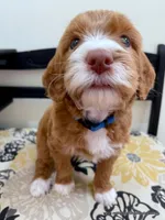 processed/42cd8d68-7c66-4002-a025-fd90b5d9a33c/listing/ca88ba76-f4b9-4ed4-83ae-c2fce3d9751e/575ab2d3-9460-476b-ac87-8559b4bb7e1b