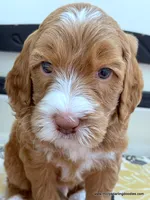 processed/42cd8d68-7c66-4002-a025-fd90b5d9a33c/listing/ca88ba76-f4b9-4ed4-83ae-c2fce3d9751e/8141c9b1-55a7-4f31-ba40-956ddccb9230