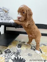 processed/42cd8d68-7c66-4002-a025-fd90b5d9a33c/listing/ca88ba76-f4b9-4ed4-83ae-c2fce3d9751e/82a7e39f-d9c6-467a-a94d-513f423e6017