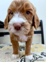 processed/42cd8d68-7c66-4002-a025-fd90b5d9a33c/listing/ca88ba76-f4b9-4ed4-83ae-c2fce3d9751e/8d8ed115-19ea-4ed6-84cb-820c5579708d