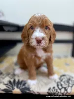 processed/42cd8d68-7c66-4002-a025-fd90b5d9a33c/listing/ca88ba76-f4b9-4ed4-83ae-c2fce3d9751e/959bbcd5-0cd3-4f10-95dc-403e09e1b8ef