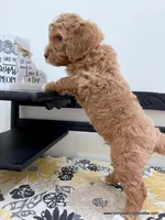 processed/42cd8d68-7c66-4002-a025-fd90b5d9a33c/listing/ee4eed94-aabd-4afa-9856-6162069f6cec/23124ae0-f4e6-4b37-86a5-de8fd0d23704