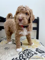 processed/42cd8d68-7c66-4002-a025-fd90b5d9a33c/listing/ee4eed94-aabd-4afa-9856-6162069f6cec/5945cfdc-6fcc-4bd6-8152-bff1042fecf8