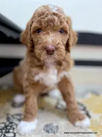 processed/42cd8d68-7c66-4002-a025-fd90b5d9a33c/listing/ee4eed94-aabd-4afa-9856-6162069f6cec/61511a3c-07ff-49c1-b930-1420e7a6c6d5