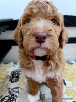 processed/42cd8d68-7c66-4002-a025-fd90b5d9a33c/listing/ee4eed94-aabd-4afa-9856-6162069f6cec/c57caf36-50cc-4550-8f88-922aea44f659