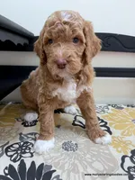 processed/42cd8d68-7c66-4002-a025-fd90b5d9a33c/listing/ee4eed94-aabd-4afa-9856-6162069f6cec/db69fc0d-1d4c-4d95-851e-c0263ccb479d