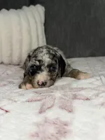 processed/42d0aa8c-95a5-4603-bfa0-833aacf30fe5/listing/84368754-94b1-4b73-8cb7-13087404700d/68a0dd0b-9e67-4eb9-843e-de1cb12bd38e