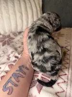 processed/42d0aa8c-95a5-4603-bfa0-833aacf30fe5/listing/84368754-94b1-4b73-8cb7-13087404700d/6d0c6144-18a5-4d72-89d3-772e60434429