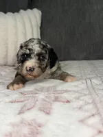 processed/42d0aa8c-95a5-4603-bfa0-833aacf30fe5/listing/84368754-94b1-4b73-8cb7-13087404700d/9073611c-6bbc-4f8f-8502-9cd20e2aa0c3