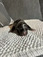 processed/42d0aa8c-95a5-4603-bfa0-833aacf30fe5/listing/84368754-94b1-4b73-8cb7-13087404700d/95e5235c-40fa-4764-b36c-fc22fc221837