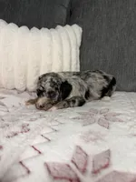 processed/42d0aa8c-95a5-4603-bfa0-833aacf30fe5/listing/84368754-94b1-4b73-8cb7-13087404700d/a2d45aa1-6529-4f97-b066-eaa97eef74af