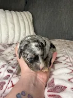 processed/42d0aa8c-95a5-4603-bfa0-833aacf30fe5/listing/84368754-94b1-4b73-8cb7-13087404700d/a306def4-7e7d-4016-be84-7ab1244ade16