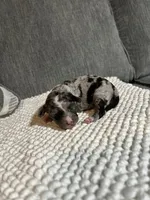 processed/42d0aa8c-95a5-4603-bfa0-833aacf30fe5/listing/84368754-94b1-4b73-8cb7-13087404700d/c4e9cca1-1c5a-433d-a377-ec7fbd879c09