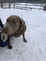 processed/42d30433-8806-4db8-9821-8270fc62d881/listing/99f7ba30-a417-4ce5-a152-c58e66191a77/2b131123-99c2-4f71-b936-4c75c365df5d