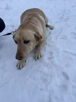 processed/42d30433-8806-4db8-9821-8270fc62d881/listing/99f7ba30-a417-4ce5-a152-c58e66191a77/ac6d318f-d3d7-46a6-881b-9dd1ad396a67