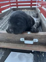 processed/42d30433-8806-4db8-9821-8270fc62d881/listing/9b897a39-7b0e-4424-bfa5-6fb853bef710/1944d821-75d6-42e9-9491-5bd86706879b