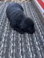 processed/42d30433-8806-4db8-9821-8270fc62d881/listing/f8909076-c83c-4ee4-bbbd-8dbbb05191a3/7aae7bc3-7993-445d-833d-21f76299f517