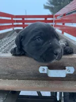 processed/42d30433-8806-4db8-9821-8270fc62d881/listing/f8909076-c83c-4ee4-bbbd-8dbbb05191a3/b435d08e-d007-4737-8275-b857623e6a79