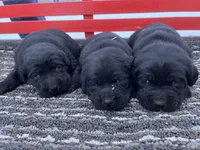 processed/42d30433-8806-4db8-9821-8270fc62d881/listing/f8909076-c83c-4ee4-bbbd-8dbbb05191a3/f02571a8-eb55-431d-a6f9-68f16838148e