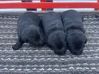 processed/42d30433-8806-4db8-9821-8270fc62d881/listing/f8909076-c83c-4ee4-bbbd-8dbbb05191a3/f1fa8427-34cf-4f73-a87c-bfcf4be6f0fa