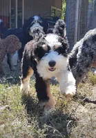 processed/42da87dc-3c8e-46b1-ba89-6d2101bf6088/facility/324db1fd-2ebc-4a57-9b5e-ef17d7412e97