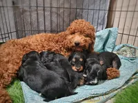 processed/42da87dc-3c8e-46b1-ba89-6d2101bf6088/facility/48db538f-9bc5-48cc-8112-cff21cb0d09e