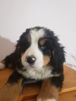 processed/42db2564-ba3f-4f9c-81b9-8058ba1d3995/listing/e5f5d614-65da-4a11-91ff-417d4bb8917e/4cc719a4-dcc9-401b-abcf-5380e8207a81