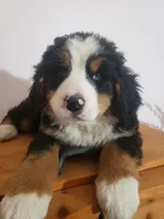 processed/42db2564-ba3f-4f9c-81b9-8058ba1d3995/listing/e5f5d614-65da-4a11-91ff-417d4bb8917e/e70b0773-2eef-4628-845f-a9cd5bac40fb