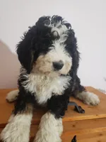 processed/42db2564-ba3f-4f9c-81b9-8058ba1d3995/listing/f0b1290b-fd74-4eea-b5d0-8c84e9d06acc/22401fa6-4a67-4583-86ca-a277c14f6e99