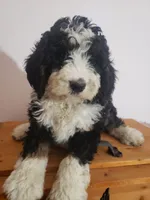 processed/42db2564-ba3f-4f9c-81b9-8058ba1d3995/listing/f0b1290b-fd74-4eea-b5d0-8c84e9d06acc/6350e216-c59b-47c3-9ad4-55fe01b0e194