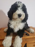 processed/42db2564-ba3f-4f9c-81b9-8058ba1d3995/listing/f0b1290b-fd74-4eea-b5d0-8c84e9d06acc/6e054d46-dbbd-4337-a385-12489a142ab8