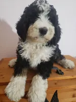 processed/42db2564-ba3f-4f9c-81b9-8058ba1d3995/listing/f0b1290b-fd74-4eea-b5d0-8c84e9d06acc/9394c861-e128-4432-b24c-de7ea3125329