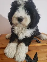 processed/42db2564-ba3f-4f9c-81b9-8058ba1d3995/listing/f0b1290b-fd74-4eea-b5d0-8c84e9d06acc/c8daa4c7-f392-4fe9-ad70-9884998effe7