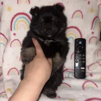 processed/42e3919a-45cb-4e22-8a92-2f501314cb30/listing/f023651c-998d-4603-8548-2e36244aa9f0/5d2253b4-61e0-4330-adfb-552e34d11e86