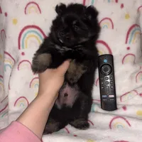 processed/42e3919a-45cb-4e22-8a92-2f501314cb30/listing/f023651c-998d-4603-8548-2e36244aa9f0/6e000e13-32fe-4dfb-8b54-d76351eb7f5d