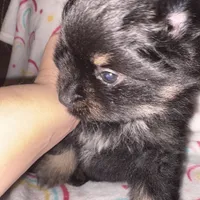 processed/42e3919a-45cb-4e22-8a92-2f501314cb30/listing/f023651c-998d-4603-8548-2e36244aa9f0/7d1d55fe-6181-4da3-868c-f15484e99ff5