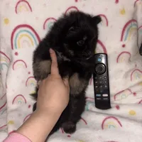 processed/42e3919a-45cb-4e22-8a92-2f501314cb30/listing/f023651c-998d-4603-8548-2e36244aa9f0/8ecdfd16-e757-4021-8f97-7c14e154313a