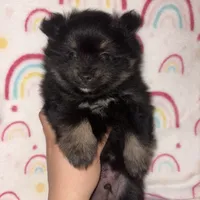 processed/42e3919a-45cb-4e22-8a92-2f501314cb30/listing/f023651c-998d-4603-8548-2e36244aa9f0/cfce0217-c165-4f77-ab38-92090fdb1873