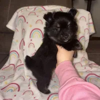 processed/42e3919a-45cb-4e22-8a92-2f501314cb30/listing/f023651c-998d-4603-8548-2e36244aa9f0/e722934d-4e18-413d-958d-189d7c96aec8