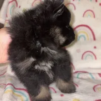 processed/42e3919a-45cb-4e22-8a92-2f501314cb30/listing/f023651c-998d-4603-8548-2e36244aa9f0/ed54781a-9ac0-466c-990f-a87f14eb35c3