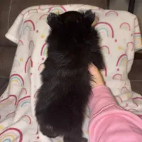 processed/42e3919a-45cb-4e22-8a92-2f501314cb30/listing/f023651c-998d-4603-8548-2e36244aa9f0/fd21453c-060f-4889-a78a-f927140e05f8