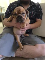 processed/42ef1a85-c441-4819-89e8-14e154c33b66/listing/f4c886e1-42b1-4a68-9327-e1e88f830878/242ffbdd-cae0-485a-9cfb-5bbee3be55b1